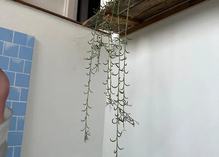 Hostel Agueita House *